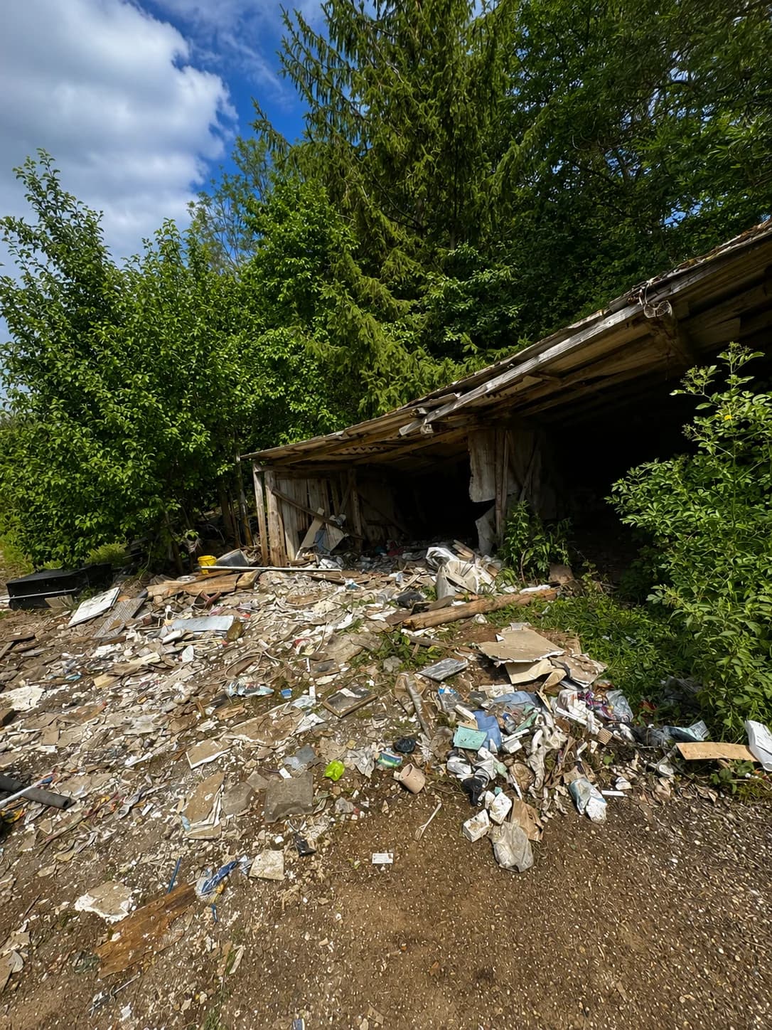 Der Vorher-Zustand einer Räumung. Vor einem alten, baufälligen Holzschuppen am Waldrand liegt ein massiver Berg aus Bauschutt, Sperrmüll und Unrat. Zu sehen sind unter anderem herausgerissene Holzlatten, Rigips- oder Putzplatten, Plastikfolien, alte Tapetenreste und loser Müll, der den Weg komplett blockiert.